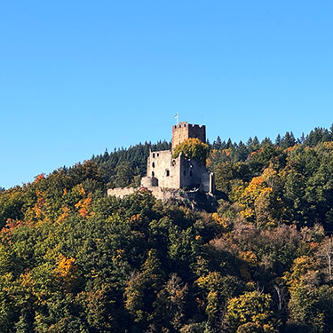 Foto der Burgruine Kastellburg Waldkirch