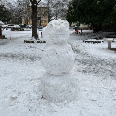 Schneemann